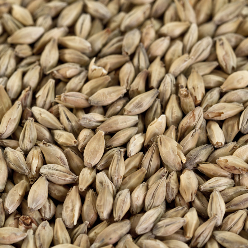 Münchner Malz 1 für dunkles Bier EBC 12-17