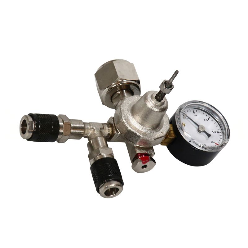 Regler für CO2-Flasche mit 2 Auslässen zum schnellen Ankuppeln