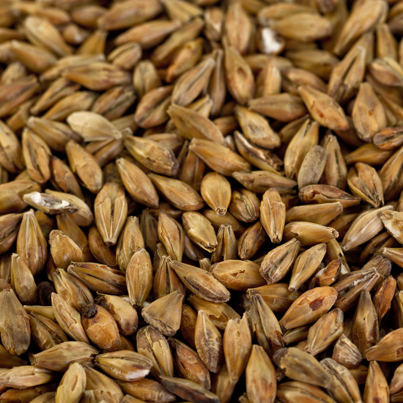 Sauermalz für Pilsner Biere, Leichtbiere, Schankbiere EBC 3-7