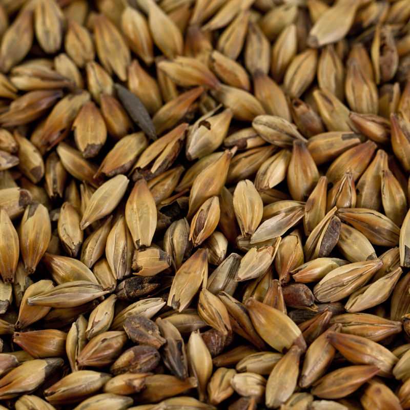 Caramelmalz CaraBohemian 170 - 220