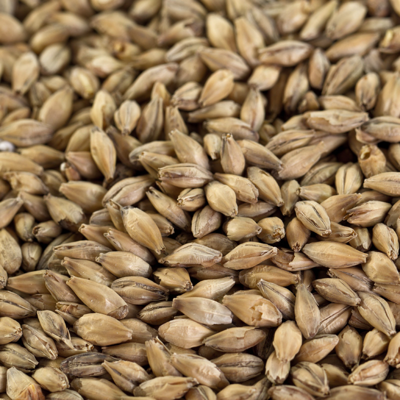 Caramelmalz hell Carapils für helle Biere EBC 3-5