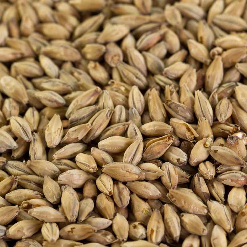 Wiener Malz für goldfarbiger Exportbiere EBC 7-9