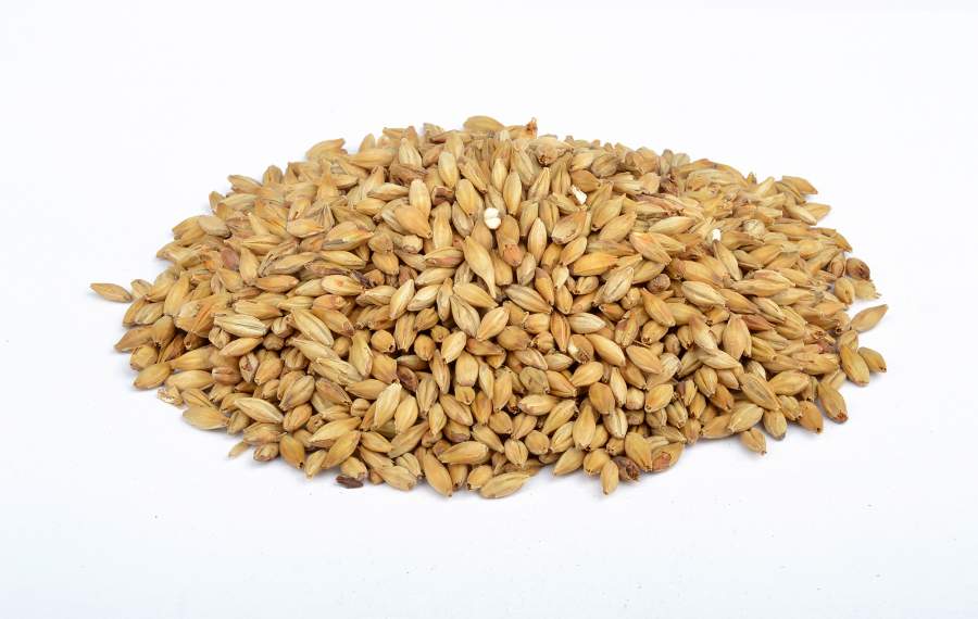 Gerstenmalz  geröstet BISCUIT  EBC 45-55