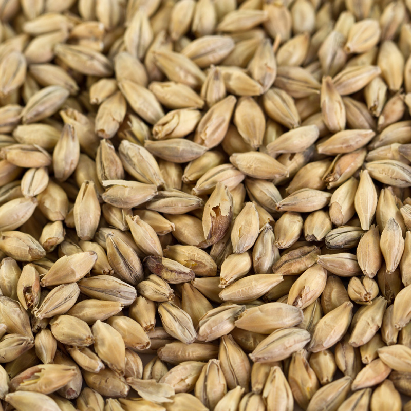 Pale Ale Malz für Lagerbiere und Ales EBC 5,5-7,5