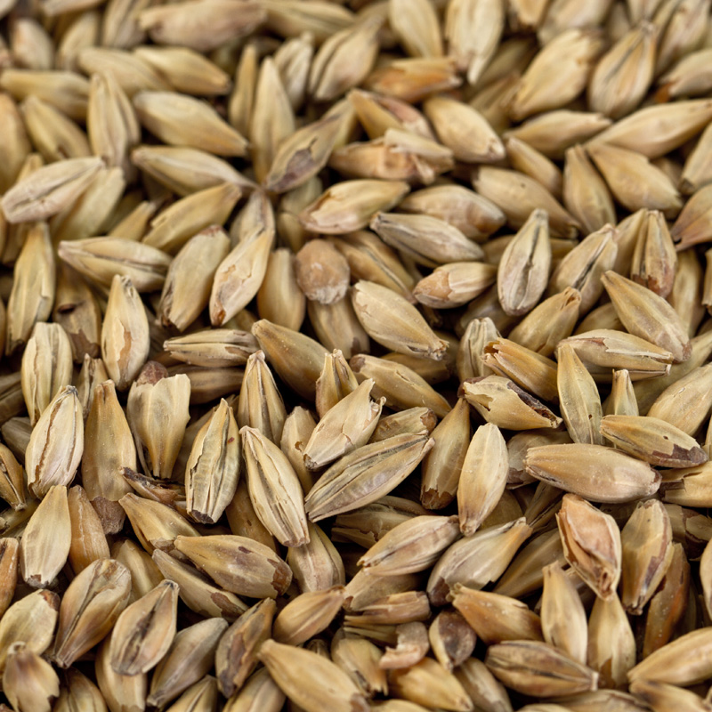 Melanoidinmalz EBC 60-80