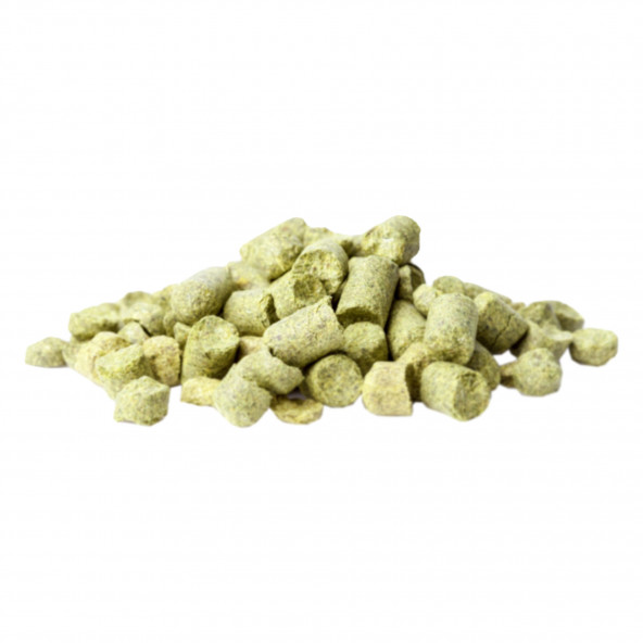 frische grünlich Hopfenpellets aus der Natur zum Bierbrauen 