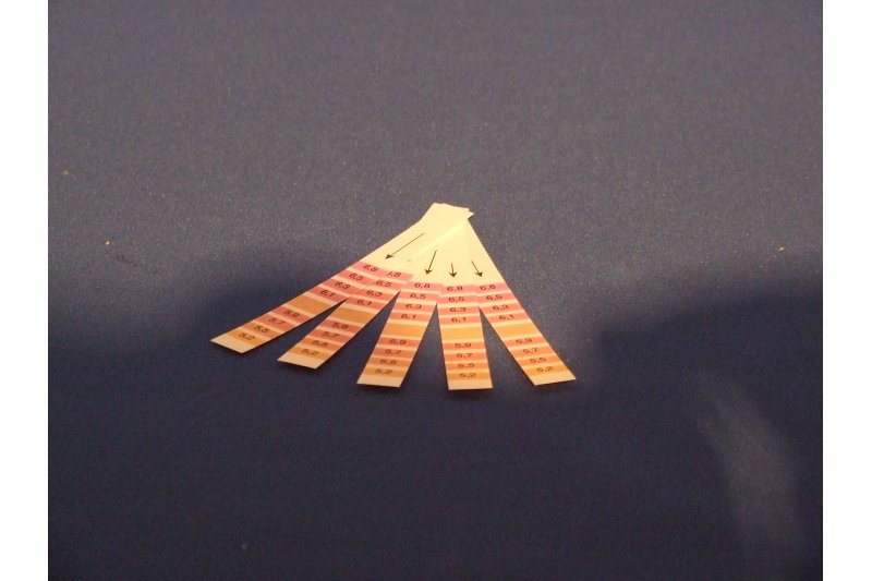 PH Teststreifen (10 Stück), pH 5,2 - 6,8 mit farbiger Skala zur Bestimmung des pH Wertes in Flüssigk