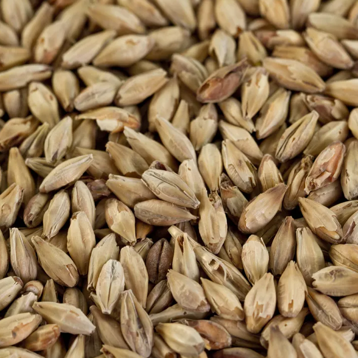 Böhmisches Dunkles Tennenmalz EBC 12,0 – 20,0