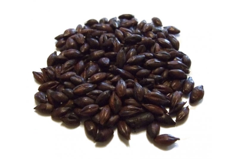 Chocolate Malt geschrotet