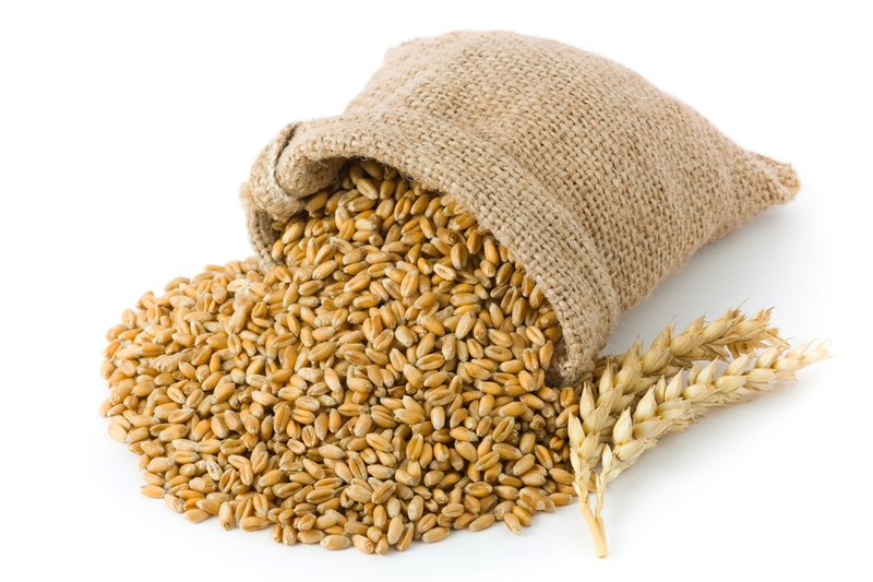 25 kg Best A-XL - Sackware ungeschrotet