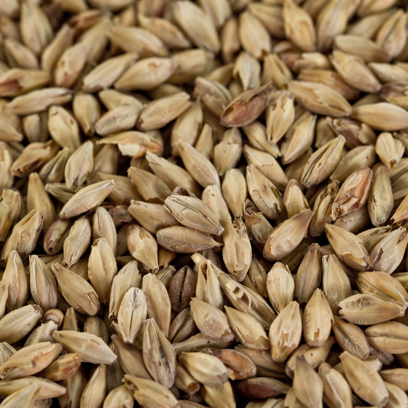 Münchner Malz 2 für dunkles Bier EBC 20-25