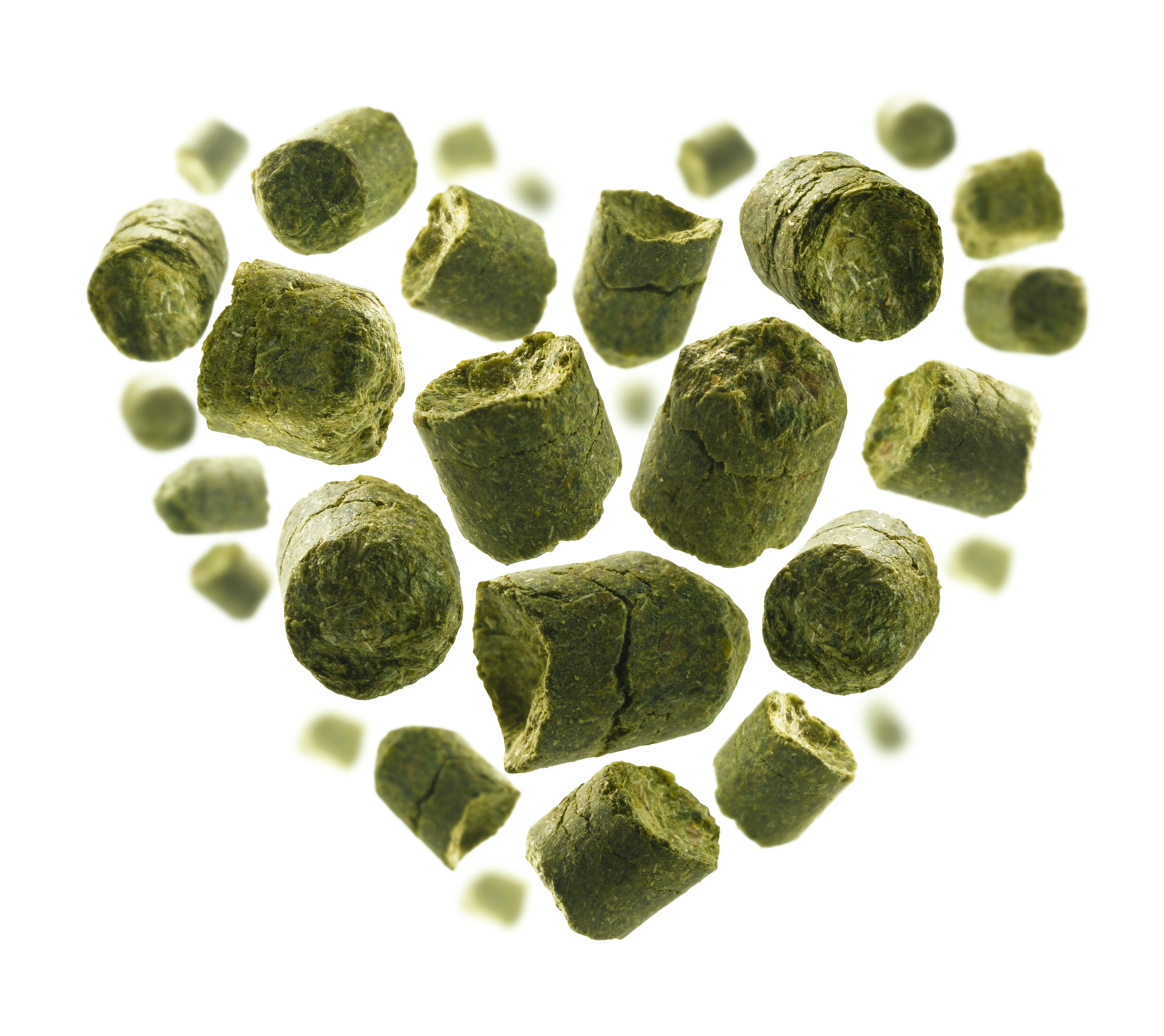 5 kg BIO "Cascade" Hopfenpellets Typ 90 Alfasäure 6,3%