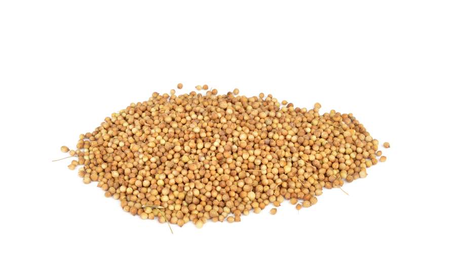 50g Koriander ganz zur Bierwürzung