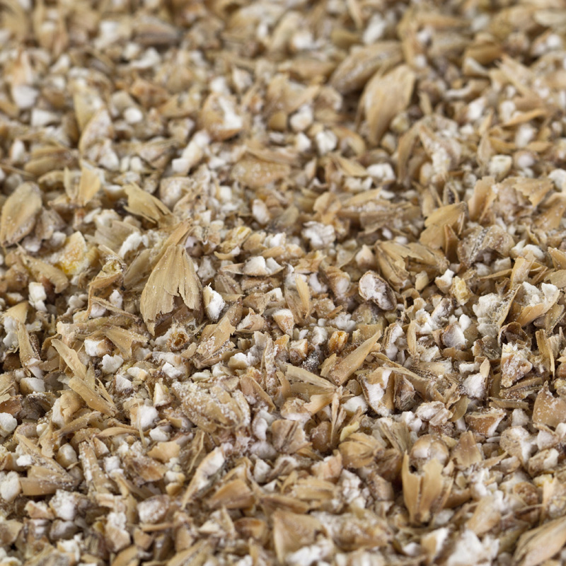 Caramelmalz hell Carapils® für helle Biere EBC 3-5 geschrotet